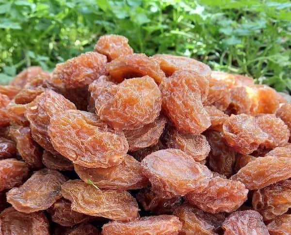 تصویر 1 از خرید آلو بخارا رسمی + قیمت فروش استثنایی